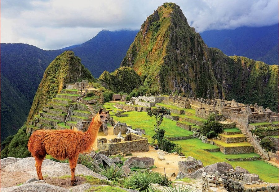 Machu Picchu Full Day